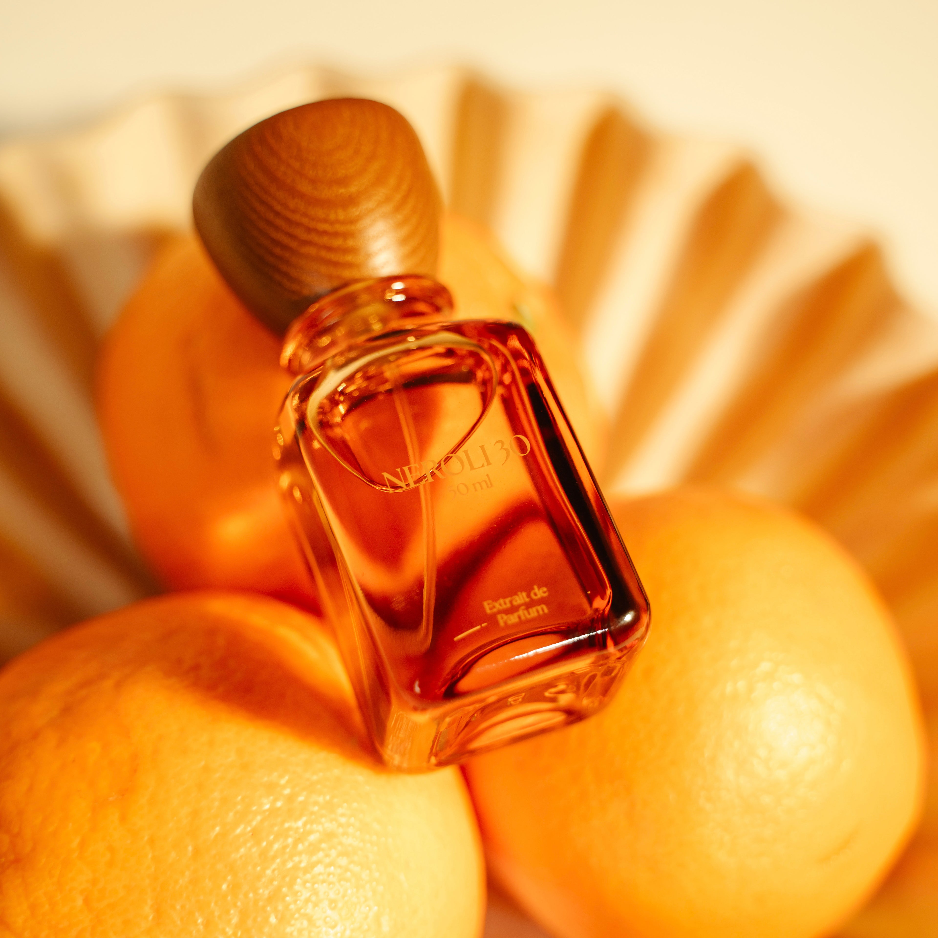 LES ABSOLUS DE NUAGES